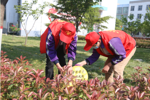 1604536371(1).png